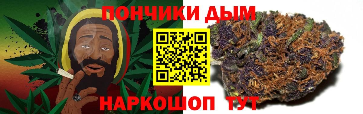 Каннабис план  Вход с VPN  Бошки Шишки конопля  Отрадный 