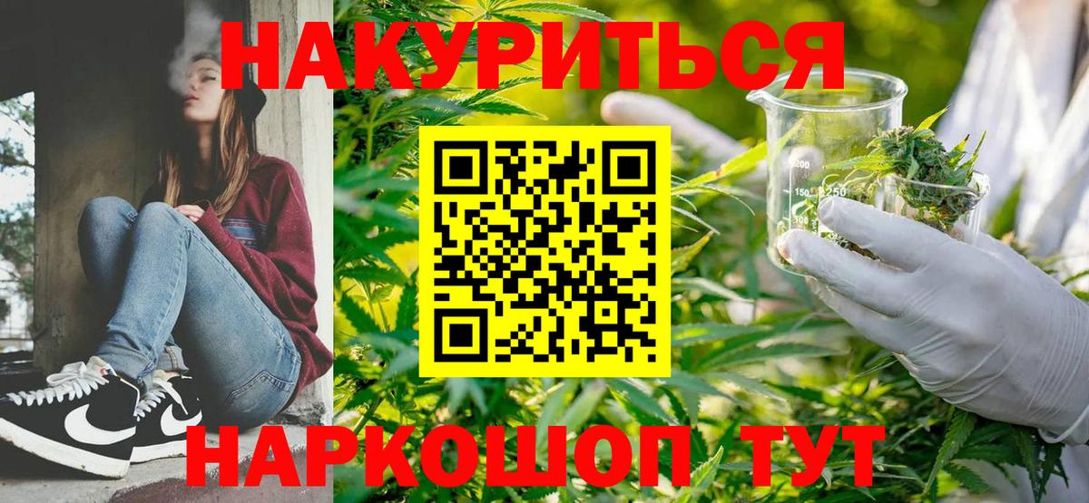 Конопля планчик Отрадный